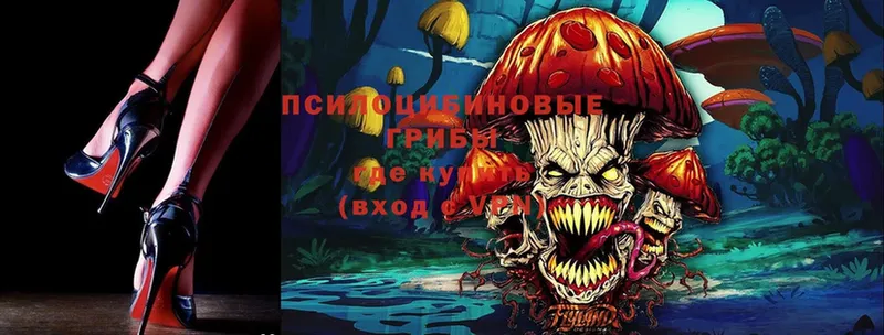 Псилоцибиновые грибы Magic Shrooms  хочу   Ялуторовск 